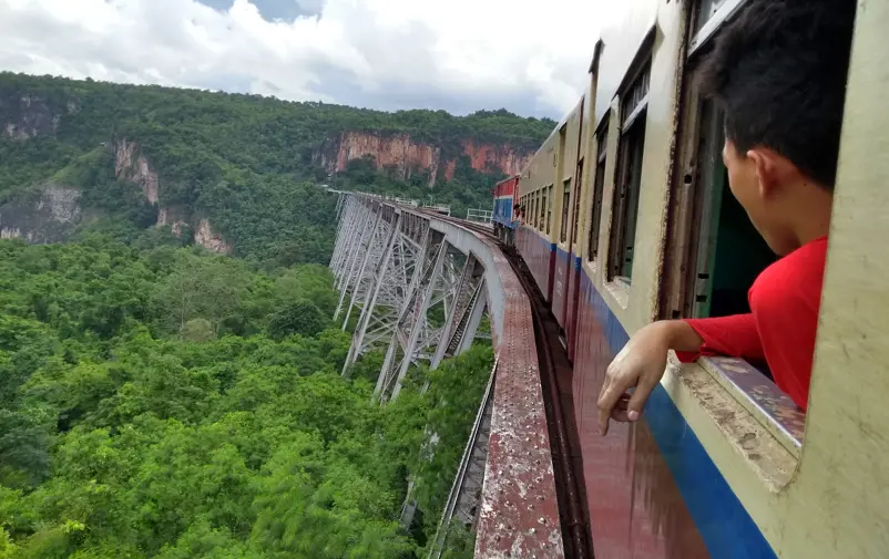 Train on bridge above green vegetation.